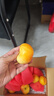 英記SNOOPY黃油曲奇餅干160g澳門(mén)特產(chǎn)零食小餅干糕點(diǎn)手札禮盒 曬單實(shí)拍圖