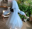 安妮優(yōu)兒愛(ài)莎公主裙女童秋季裙子2025春秋新款冰雪奇緣女孩艾莎連衣裙秋款 粉色 130 曬單實(shí)拍圖
