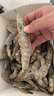 鮮享純【青島蝦】超大蝦新鮮大蝦冷凍鮮活青島大蝦批發(fā)整箱基圍蝦青蝦 15-17厘米鮮蝦速凍 3斤(凈重) 曬單實(shí)拍圖