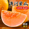 卉雙正宗陜西黃河蜜瓜紅金寶當(dāng)季新鮮沙漠甜瓜黃金香瓜脆甜可口 黃河蜜瓜 帶箱9-10斤（凈重8.5斤） 曬單實(shí)拍圖