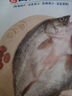 仙泉湖三去白蕉海鱸魚(yú)1斤/條凈膛冷凍刺少肉厚珠海特產(chǎn)500g生鮮中秋食材 曬單實(shí)拍圖
