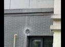 百蒂安不銹鋼風帽外墻出風口新風口圓形油煙機排煙管罩防風穿墻網罩外墻 不銹鋼風帽160ｍｍ 曬單實拍圖