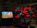 SANC盛色27英寸2K210Hz電競顯示器FastIPS硬件低藍光IGZO氧化物技術(shù)10Bit 500nit高亮屏幕G72Max增強版 曬單實(shí)拍圖