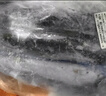 5斤青島鮮活大鲅魚(yú)新鮮馬鮫魚(yú)大整條冷凍海捕深海魚(yú)海鮮水產(chǎn)批發(fā) 曬單實(shí)拍圖