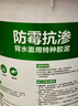 雨虹防水背水面防水涂料 防霉抗?jié)B地下室電梯井防滲透專用特種膠泥 曬單實(shí)拍圖