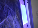 雅格(YAGE)滅蚊燈商用家用粘捕式滅蠅燈餐廳飯店用滅蚊器滅蠅器約45㎡ 曬單實(shí)拍圖