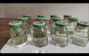 午時(shí)銀花露340ml*12瓶整箱瓶裝 金銀花草本飲品湖北孝感午時(shí) 曬單實(shí)拍圖