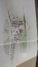 信誼原創(chuàng  )圖畫(huà)書(shū)系列-一園青菜成了精【3-6歲】豐子愷兒童畫(huà)書(shū)獎 激發(fā)兒童想象力的優(yōu)秀童書(shū)繪本 一升二銜接 小升初銜接 曬單實(shí)拍圖