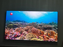 海信電視小墨E5Q Pro85英寸 1248分區U+MiniLED 信芯芯片 抗反光防眩光墨晶屏 300Hz國家補貼85E5Q-PRO 曬單實(shí)拍圖