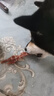麥富迪狗狗零食 原切鴨肉干100g成幼犬磨牙棒訓(xùn)練獎(jiǎng)勵(lì)解饞寵物零食 曬單實(shí)拍圖