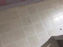 DEATKN歐洲廁所除臭神器防反臭衛(wèi)生間防臭反味地漏除臭廚房下水管口廁所 買3送2【兩衛(wèi)適用】強力除臭 曬單實拍圖
