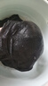 古今（GUJIN）內衣女文胸舒適蕾絲軟鋼圈高彈28孔杯抹胸式女士胸罩洞洞杯 曬單實(shí)拍圖