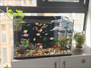 YEE魚(yú)缸氧氣泵養魚(yú)充氧泵增氧機小型超低音家用打氧魚(yú)缸增氧泵 3W【單孔】氣石套餐+全套配件 曬單實(shí)拍圖