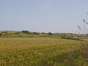 班尼路（Baleno）短褲男夏季潮流運(yùn)動(dòng)寬松百搭冰絲休閑褲冰感透氣輕薄沙灘褲 曬單實(shí)拍圖