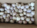 味小仙紫皮獨(dú)頭蒜干蒜 2025新蒜 獨(dú)頭大蒜頭蔬菜 大號(hào)(3.0cm以上)干蒜 5斤 曬單實(shí)拍圖