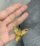 中國黃金（CHINA GOLD）黃金永恒之翼天使項鏈女士足金吊墜中秋節(jié)生日禮物送女朋友老婆 永恒之翼天使吊墜【贈S925鏈】 約2.65g 曬單實拍圖