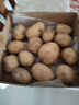播州鮮貴州新鮮土豆高山馬鈴薯土豆黃皮黃心土豆5斤農(nóng)家自種蔬菜 新鮮黃皮土豆5斤 （凈重） 曬單實(shí)拍圖