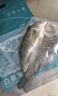 釣魚記開背海鱸魚1斤-1.3斤 三去凈重 冷凍 生鮮 魚類 海鮮水產(chǎn) 曬單實拍圖