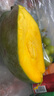 集南鮮 凱特芒果 四川攀枝花芒果當季大青皮黃皮大芒果新鮮水果整箱 含箱5斤  單果400g起  凈重4.5斤 曬單實(shí)拍圖