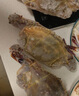 舟山梭子蟹鮮活特大野生大螃蟹新鮮冷凍海鮮水產(chǎn)海蟹飛蟹白蟹順豐 7-9兩/只【5斤凈重 特大肥壯】 曬單實(shí)拍圖