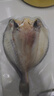 鮮京采寧德黃魚鲞4條/2斤(單條235-255g)三去處理魚類 地標(biāo) 源頭直發(fā) 曬單實(shí)拍圖