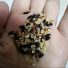 沐谷 七色糙米6斤加量裝 糙米紅米黑米燕麥黑糯青稞低脂雜糧東北雜糧 曬單實(shí)拍圖