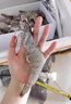 賣魚郎先生蝦 青島鹽凍大蝦凈重3.6斤 25-30只/斤 青蝦海蝦生鮮 蝦類 曬單實(shí)拍圖