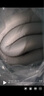 森眠T5款學(xué)生床墊90x190泰國進(jìn)口天然乳膠單人宿舍租房專(zhuān)用5cm厚軟墊 曬單實(shí)拍圖