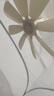 鉆石牌小吊扇八葉高速電風(fēng)扇蚊帳扇家用學(xué)生宿舍風(fēng)扇工地小吊扇床上電風(fēng)扇輕音送風(fēng)電風(fēng)扇吊式小電扇 曬單實(shí)拍圖