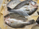 福寧港 三去海鱸魚3條裝(凈重2.4斤) 去鱗去撒去內(nèi)臟  源頭直發(fā) 曬單實(shí)拍圖