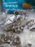 久年大連即食海參1斤8-12只遼刺參京東自營 固形物超85% 生鮮海鮮盒裝 曬單實(shí)拍圖