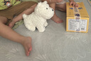 babycare&bct兒童毛絨玩具狗電子哈基米寵物玩偶節日生日七夕禮物西高地犬 曬單實(shí)拍圖