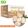 京地達泰國進(jìn)口奶香椰皇 凈重3斤起 4粒單果350-450g 源頭直發(fā)包郵 曬單實(shí)拍圖