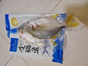 1號(hào)會(huì)員店（One's Member）甄選海南二去金鯧魚去鰓去內(nèi)臟生鮮魚類 海鮮水產(chǎn) 700g/2條裝 曬單實(shí)拍圖