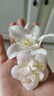 璇洛臻品小花朵混搭20朵 絹花仿真花 diy手工簪花頭飾 花環(huán)包花 花墻裝飾 3-10CM大中小隨機混合花20朵 曬單實(shí)拍圖