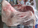 伊民康洋 寧夏灘羊肉生鮮原切精修羔羊前腿 凈重4斤 清真食品 源頭直發(fā) 曬單實拍圖