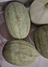 京鮮生 哈密瓜西州蜜25號 凈重7-8斤2-4粒裝 源頭直發(fā)包郵 曬單實拍圖