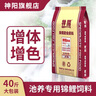 神陽(yáng)神陽(yáng)錦鯉飼料育成魚糧魚食觀賞魚金魚增紅增體促成長(zhǎng)不渾水大包裝 神陽(yáng)育成 20kg 大粒 曬單實(shí)拍圖