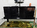boxtech魚(yú)缸過(guò)濾器濾材套裝底濾水族箱凈水培菌納米材料魚(yú)池專(zhuān)用細菌屋60CM底濾缸套餐送8D過(guò)濾棉 曬單實(shí)拍圖