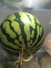 【產(chǎn)地直采】麒麟奶油西瓜 約4.5kg 曬單實(shí)拍圖