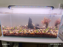 森森 超白玻璃小魚(yú)缸HWK-600P裸缸款水草缸金魚(yú)缸小型水族箱水草缸  曬單實(shí)拍圖