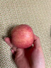 紅富士蘋果棲霞紅富士新鮮水果脆甜多汁級蘋果禮盒生鮮館水果生鮮 蘋果帶箱5斤凈重4.5斤75mm-80mm 曬單實拍圖