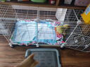 蔻絲狗籠子中小型犬帶廁所家用加粗加密寵物幼犬狗狗籠子圍欄柯基泰迪 白【109*49*57】升級底網(wǎng)承重強 升級款：腳墊+滑輪+托盤(pán)+扎帶 曬單實(shí)拍圖