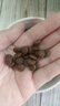 帕特全價(jià)貓糧通用型果蔬兔肉牛肉美短英短天然糧帕特諾爾 桑葚兔肉成貓糧2kg 曬單實(shí)拍圖