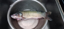  鮮活草魚(yú)900-1100g/條 曬單實(shí)拍圖