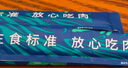 LEGENDSANDY藍氏貓零食全價主食貓條成貓幼貓鮮肉貓濕糧罐頭混合口味16g*36支 曬單實拍圖