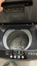 志高（CHIGO）全自動洗衣機(jī) 波輪宿舍迷你小型家用 洗烘一體 智能洗脫一體機(jī) 大容量 風(fēng)干 【7.5Kg-主銷款-智能風(fēng)干-強(qiáng)動力電機(jī)】 曬單實拍圖