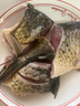  鮮活大鯉魚(yú)1-1.25kg/條 曬單實(shí)拍圖