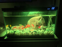 米家（MIJIA）智能生態(tài)魚缸定時(shí)喂食智能魚缸+畫法幾何增氧泵套裝 曬單實(shí)拍圖