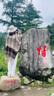 逸兼披肩圍巾女秋冬季旅游百搭保暖圍巾復(fù)古水墨畫花紋加厚流蘇斗篷 斗篷披肩【山水畫-卡其】 （100*150cm左右） 曬單實(shí)拍圖